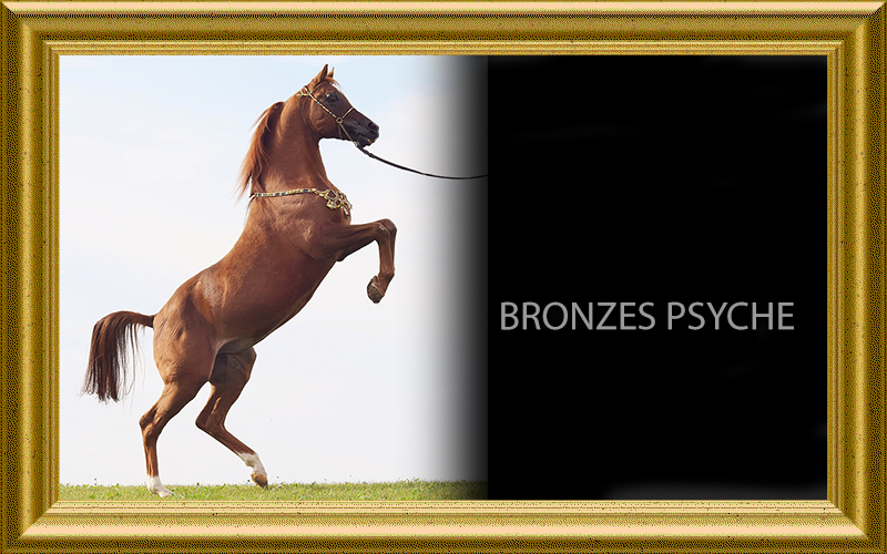 bronzes_psyche-slideshow